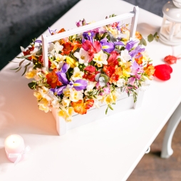 Ladita cu Frezii alt vedere product 7