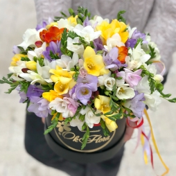 Cutie de Lux cu Frezii alt vedere product