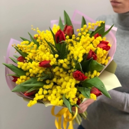 Buchet cu Mimosa si Lalele Rosii photo