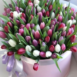 Cutie cu 301 Lalele Multicolore alt vedere product