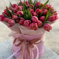 Cutie cu Lalele Columbus photo