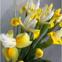 Buchet de Irisi Galbeni alt vedere product 3