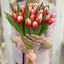 Buchet de Lalele Alb-Rosii Dutch Design alt vedere product 2