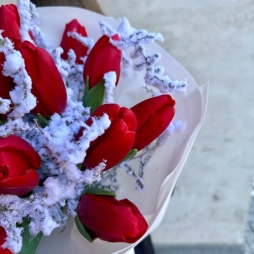 Buchet de Iarna cu Lalele Rosii photo