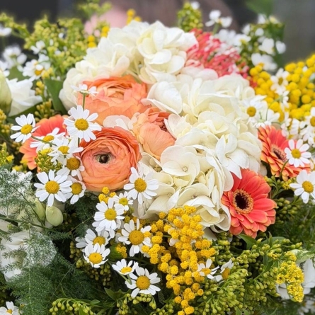 Buchet Luminos cu Hortensie, Gerbera și Mimoză photo