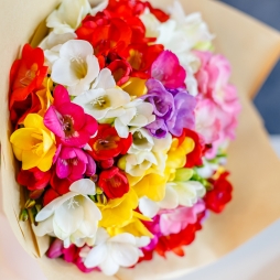 51 Frezii in Hartie Naturala alt vedere product 3